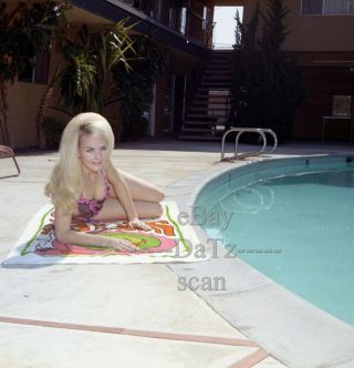 1960s Color Negative - Sexy Blonde Pinup Girl Jeanette Bird In Bikini T941139