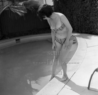 1960s Negative - Busty Pinup Girl Tonya Carina In Sexy Bikini - Cheesecake T979776