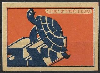 Judaica Israel Rare Old Vintage Matchbox Label Turtle By Mizrach