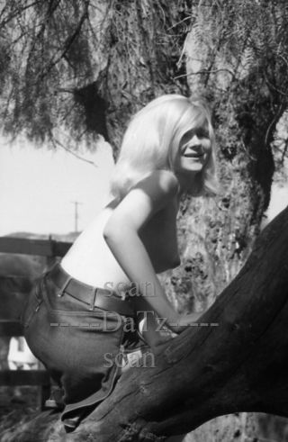1960s Negative - Nude Blonde Pinup Girl Misty Travis - Cheesecake T970824