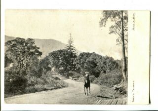 Thirroul Road C.  1905