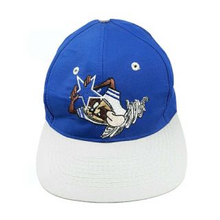 Vintage 1993 Team Nfl Dallas Cowboys Taz Looney Tunes Snapback Hat Blue Gray Euc