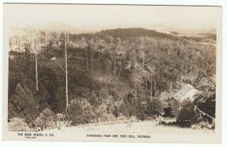 Panorama From One Tree Hill Victoria Old Photo Postcard Rose Series C1940 