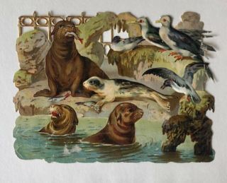 Victorian Decoupage Scrap,  Seals And Seagulls At The Zoo C.  1880.