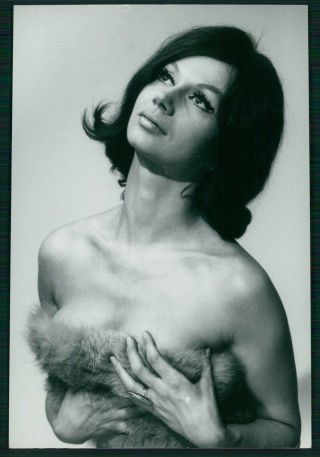 Uu5 Exertier Nude Woman Stripper Pinup Cabaret Dancer Pin Up 1960 Photo