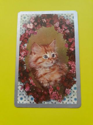 Vintage,  Swap/playing Cards,  Cat,  Blank Back,  Ginger Kitten.