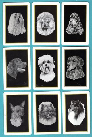 9 Single Swap Playing Cards Dog Heads Art Different Breeds