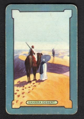 Coles Swap Card - Sahara Desert