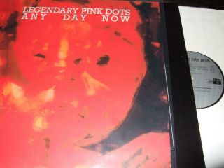 The Legendary Pink Dots : Any Day Now Lp 1987 Play It Again Belgium