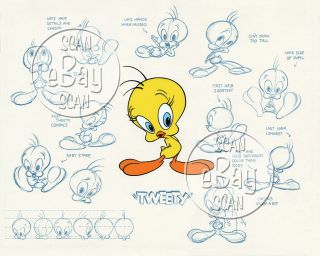 Rare Looney Tunes Model Sheet Cartoon Photo 8 Warner Bros Animation Tweety