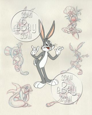 Rare Looney Tunes Model Sheet Cartoon Photo 1 Warner Bros Animation Bugs Bunny