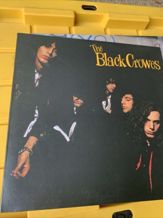The Black Crowes ‎– Shake Your Money Maker -