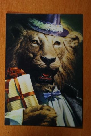 Paper Moon Graphics Greeting Card Os206 1986 Happy Birthday To My Mane Man Lion
