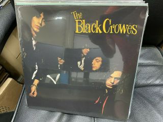 The Black Crowes Shake Your Money Maker Lp Vinyl