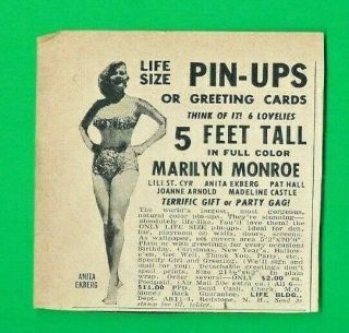 1954 Ad Life Size Pin - Ups Marilyn Monroe,  Lili St.  Cyr,  Anita Ekberg,  Etc