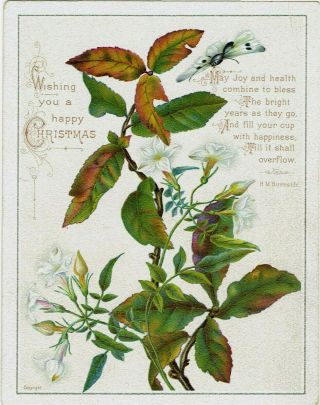 Victorian Christmas Greetings Card White Flowers Bronze Green Leaves Butterfly