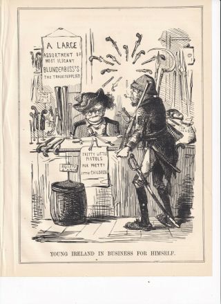 1846punch Cartoon Outrage Young Ireland In Business For Himself Ireland
