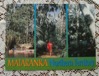 Retro Vintage Postcard: Mataranka,  N.  T.  (multi - View)