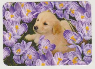 Swap Card Cute Puppy In Flowers Modern Horizontal Wide Blank Back X 1