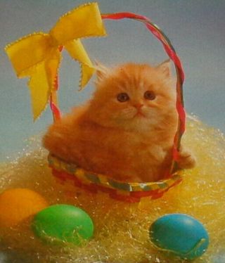 Vintage Greeting Card,  Cute Cat Sitting Inside Easter Basket,  6 1/2 "