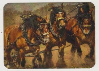 Swap Card Heavy Horses In Harness Modern Horizontal Wide Blank Back X 1