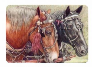 Modern Wide Swap Card,  Black & Brown Horse Heads - - Horses
