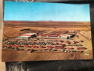 Vintage Rppc Postcard Livestock South Dakota