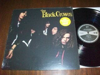 Black Crowes,  $hake Your Money Maker,  2021 American Press. ,  Cond.