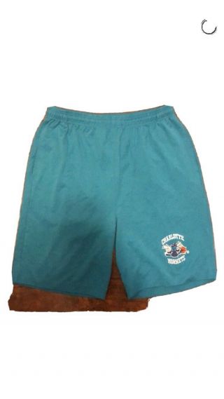 Vintage Charlotte Hornets 90s Nba Starter Shorts Men’s Xl