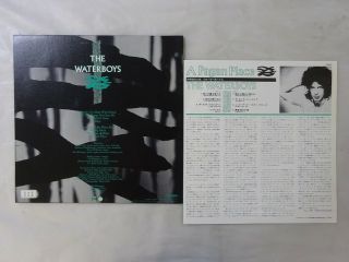 The Waterboys A Pagan Place Island Records 25SI - 251 Japan PROMO LP OBI 2
