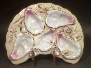 Antique Crescent Shaped Oyster Plate C.  1800 