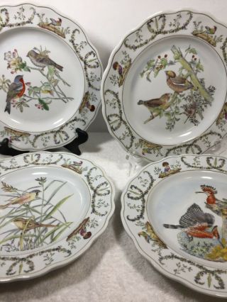 Set Of 4 Rare Vintage Castilian Decorative Plates Hand Painted Wild Birds