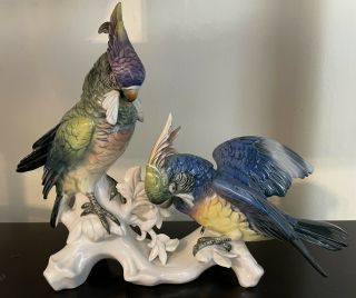 1930s - 40s Karl Ens Germany Large Porcelain Double Cockatoos Parrots Figurine 14”