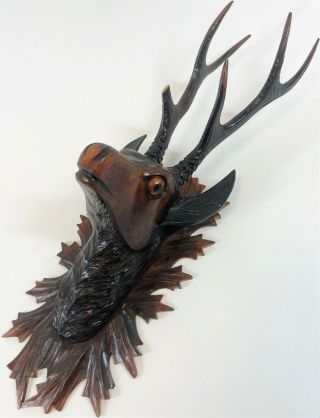 Black Forest Germany Vintage 21 " Handmade Carved Wood Deer Head Art Wall Mount