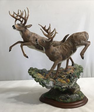 Rare Danbury King Of The Mountain Whitetail Deer Sculpture By Dick Idol