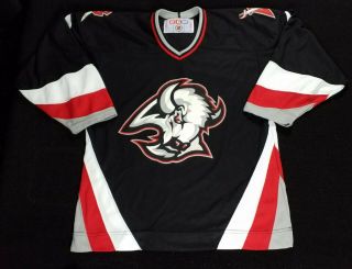 Buffalo Sabres Dominik Hašek Hockey Jersey Ccm Air - Knit Sz Small Canada