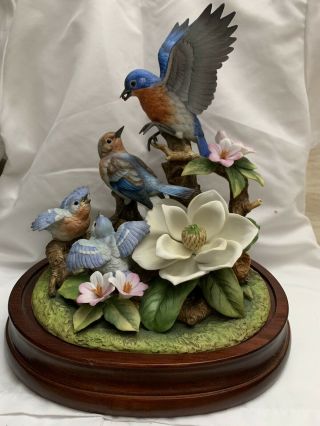 Ltd - 14 Bluebird Family By Andrea By Sadek Porcelain Bird Figurine 846/5000