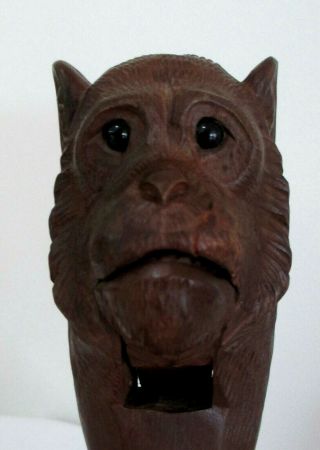Antique Black Forest Germany Hand Carved Wood Folk Art Monkey Nutcracker German