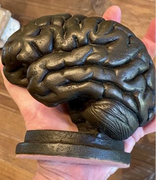 Vintage Antique Anatomical Human Brain Bookends Cast Iron Estate Find 5.  5”each