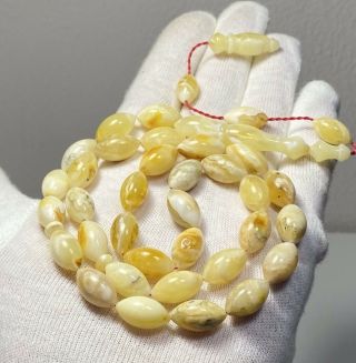 Natural Baltic Amber 24.  8g Islamic 33 Prayer Beads Olive Rosary