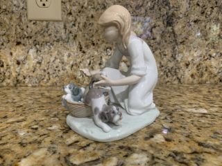 Lladro 5595 " Joy In A Basket " Girl With 3 Playful Puppy Dogs - Mwob,  Rv$495