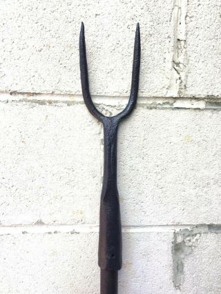 Rare Antique French Halberd Military Battle Fork Spear Polearm No Sword