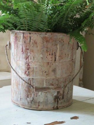 The Best Old Vintage Metal Painters Paint Bucket Pink Drips Use As Planter