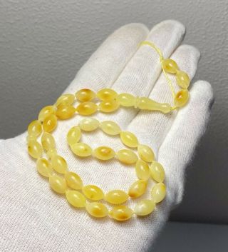 Natural Baltic Amber 9.  8g Islamic 33 Prayer Beads Olive Rosary