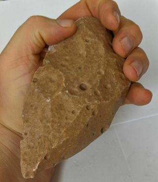 Paleolithic 300,  000 Year Old Homo Erectus Man Stone Hand Axe (l7725)