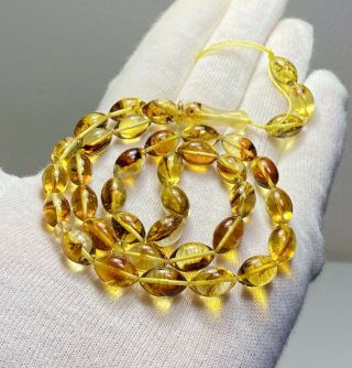 Natural Baltic Amber 13.  5 G Islamic 33 Prayer Beads Olive Rosary