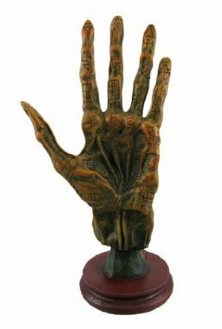Alchemy Mummified Palmistry Hand Gothic