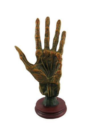 Things2die4 Alchemy Mummified Palmistry Hand Gothic Multicolored Polyresin 1.  5lb