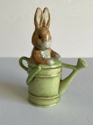 Beswick Beatrix Potter Peter In The Watering Can Figurine Bp10a F.  Warne & Co