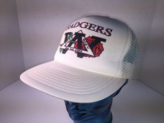 Vintage Wisconsin Badgers Football 1994 Rose Bowl Snapback Mesh Trucker Hat Cap